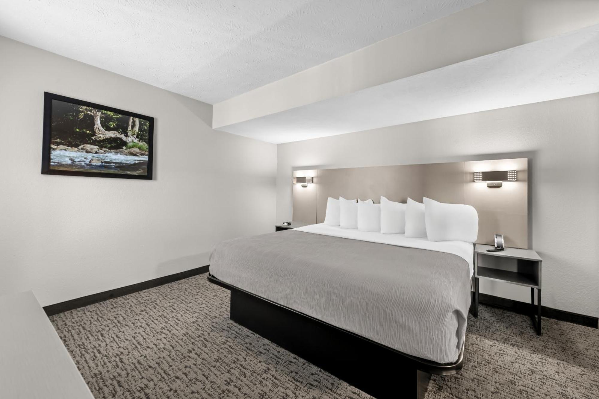 Quality Inn & Suites At Dollywood Lane Pigeon Forge Buitenkant foto